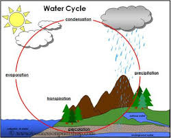 Water Cycle Printable Montessori Science Materials Water Cycle Montessori Materials Montessori Science