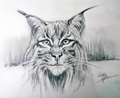Pin On How To Draw Animals