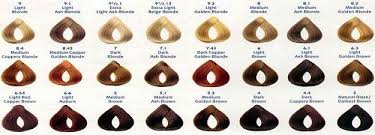 Loreal Professional Hair Color Chart Inoa Best Picture Of