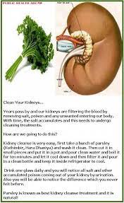 Do You Know How To Take Care Of Your Kidneys Besides Avoiding Too Much Salt And Drinking Enough Water You Also Kidney Detox Kidney Detox Cleanse Liver Detox