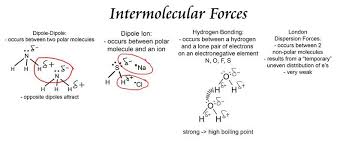 Msextavourscienceclasses Intermolecular Forces Nastas Lena Intermolecular Force Ap Chem Chemistry