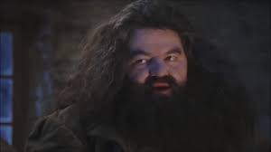 @EPLBible's video Tweet