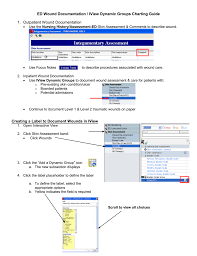 Ed Wound Documentation Charting Guide