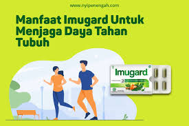 Ikuti cara menambah daya tahan tubuh atau imunitas ini agar tidak mudah sakit dan bisa terlindungi dari serangan corona! Manfaat Imugard Untuk Menjaga Daya Tahan Tubuh Nyi Penengah Dewanti