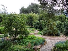 Pin On Gardening Food Production