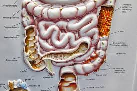 How Long Does Colonoscopy Prep Take To Work
