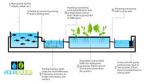 Aquaponics systems are food production systems that facilitate the raising of aquatic animals in tanks, and the cultivation of plants in water. Aquaponics System For Beginners Diy Aquaponics System Australia