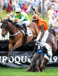 Women's 3,000 steeplechase team include 2016 olympic bronze medalist emma coburn, who's currently no. Horse Racing Tailgating And Hats Are Key To The 2019 Iroquois Steeplechase