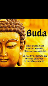 Shayla Guzman ferrel (shaylaguzmanferrel)