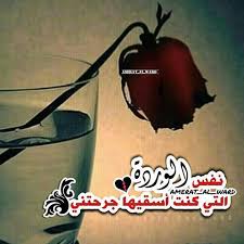 نتيجة بحث الصور عن جرحتيني يا اغلى الناس Movie Posters Movies Poster