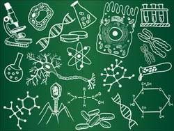 Check spelling or type a new query. Biology Eoc Review Quarter 1 Florida Quiz Quizizz
