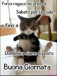 Buon Sabato Buongiorno Immagini Belle Immaginibuongiorno Biz Buongiorno Divertente Buongiorno Immagini Buongiorno