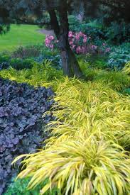 Stunning Shade Gardens The Happy Housie In 2020 Shade Garden Plants Shade Garden Design Shade Plants