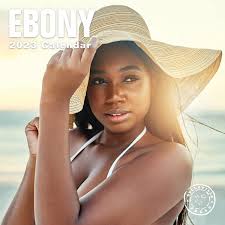 2023 Ebony Monthly Wall Calendar by Bright Day, 12 x Martinique