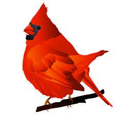 Northern Red Cardinal Bird Free Clipart Design Download Clipartix Clip Art Bird Pictures Clipart Design