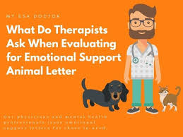 What Do Therapists Ask When Evaluating For Emotional Support Animal Letter In 2020 Emotional Support Animal Animal Letters Emotional Support