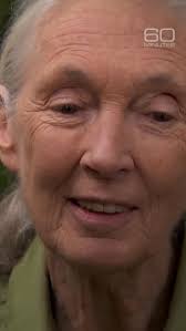 Parts Work: Trauma-Informed IFS (@partswork) • Facebook