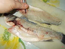We did not find results for: Branzino Alla Ligure Pesci Di Mare