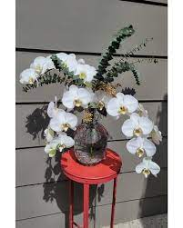 Check spelling or type a new query. Stockton Florist Flower Delivery By Silveria S Flowers Gifts