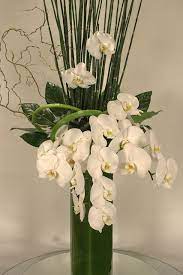 Elegant And Modern Phalaenopsis Orchid Arrangement Flower Vase Arrangements Modern Flower Arrangements Orchid Arrangements
