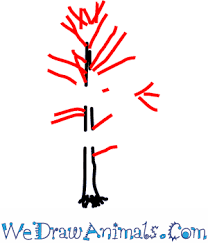 See our tree wallpaper photographs link in the left tree categories. How To Draw A Cypress Tree