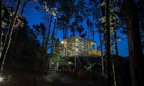 Hoy en día existen muchas empresas que trabajan este tipo de construcción, y en la mayoría de los casos consiguen hacer casas que no dañan excesivamente la estructura de los árboles, construyendo con materiales respetuosos con el medio ambiente y procurando no alterar excesivamente la imagen. Nueve Casas En Los Arboles Para Pasar La Noche En Plena Naturaleza Sin Salir De Espana