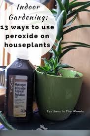 13 Uses For Peroxide In The Garden And On Houseplants Plant Pests Peroxide Uses Plants