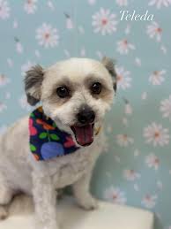 A half week for grooming this week as Bree is off