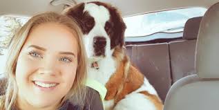 Adopted 3-year-old dog's hiking progress