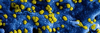 Zo mogen op het terras niet meer dan twee personen aan een tafeltje plaatsnemen. Faq On Coronavirus On Campus And Events Tilburg University
