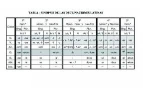 Quali Sono Le Declinazioni Latine Grammatica Latina Latina Istruzione