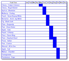 fruit trees archives page 2 of 4 alden lane nursery