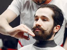 Candure Haarschere Schnurrbart Bart Nase & Ohren Scheren Edelstahl Haare  Schneiden Professionelle Schnurrbartschere und Nasenhaarschneideschere,  Sicherheitsgebrauch für Augenbrauen, Wimpern : Amazon.de: Drogerie &  Körperpflege