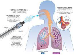 C'est l'une des recommandations d'un rapport qui sera remis demain à la ministre de la santé. Quand La Cigarette Electronique Devient Mortelle Sciences Et Avenir