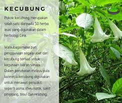 Apa yang saya ingin kongsikan di sini adalah kaedah yang saya gunakan Ubat Resdung Herba Cina