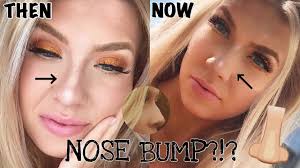Drag it downward to the side of the nose and all the way to the tip. How To Use Highlighter To Hide Nose Bump Youtube