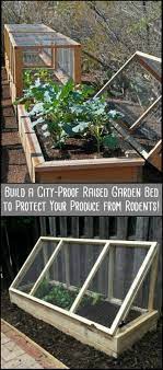 It is time to put some vegetable gardening hacks to use so you can save money on gardening. Build A City Proof Garden To Protect Your Produce From Rodents Diy Projects For Everyone Building A Raised Garden Diy Raised Garden Home Vegetable Garden