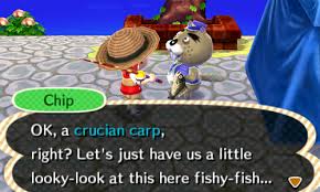 Fishing is a very simple concept. Fishing Tourney New Leaf Guide Dates Fish Set Prizes Tips Strategy
