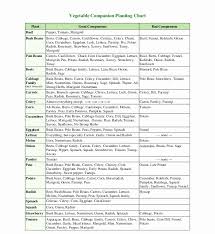 30 Companion Planting Chart For Vegetables Tate Publishing