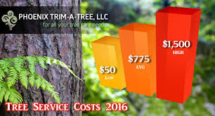 Tree Removal Cost 2016 Archives Phoenix Trim A Tree Llc