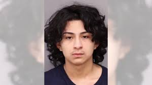 Gang member sentenced to 20 to 40 years in Weston Field homicide