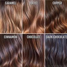2020 Hair Color Trends In 2020 Dark Chocolate Hair Dark Chocolate Hair Color Hair Color Light Brown