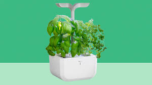 28 thoughtful gifts for women that cost less than $50. The Best Christmas Gifts For 2020 Real Simple
