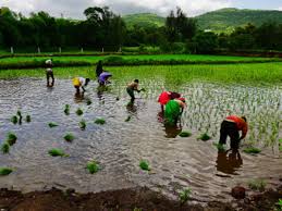 What Is The Future Prospect Of The Jain Irrigation Stock? - Quora