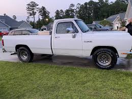 Image result for Bright White 1993 Dodge Truck