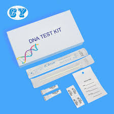 Get started with our discreet affordable dna testing with just one click. China Swab Supplier Ancestry Dna Test Medical Disposable Sterile Sample Collection Microbiology Test Soil Test Flocked Swab Kit Buy Soil Test Kit Dna Test Swab Kit Microbiology Test Kit Product On Alibaba Com