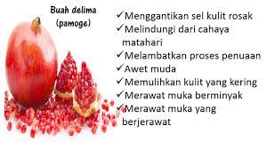 Buah delima ataupun pomegranate merupakan satu buah yang sangat kaya dengan kandungan nutrisi. Eskora Fruity Foundation Khasiat Buah Delima Pada Kulit Muka