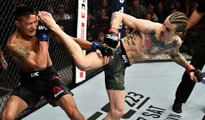 Шон о'мэлли ◊ sean o'malley. Sean O Malley Is Eager To Add To His Highlight Reel Ufc