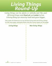 1st grade 2nd grade kindergarten science worksheets non living. Living And Non Living Things Worksheet Education Com