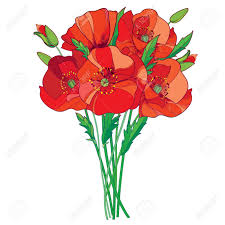 Nous avons encore des photos de plus de 45 000 libres de droit, ainsi que des. Bouquet Avec Contour Rouge Fleur De Coquelicot Bourgeon Et Feuilles Vertes Isoles Sur Fond Blanc Elements Floraux Dans Le Style De Contour Avec Coquelicot Pour La Conception De L Ete Symbole Du Jour